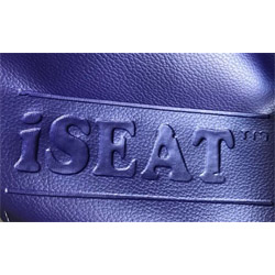  iSEAT® Branded Beanbag